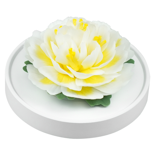 Luxury ceramic flower scent diffuser for home in wihte,dahlia, displayed from side