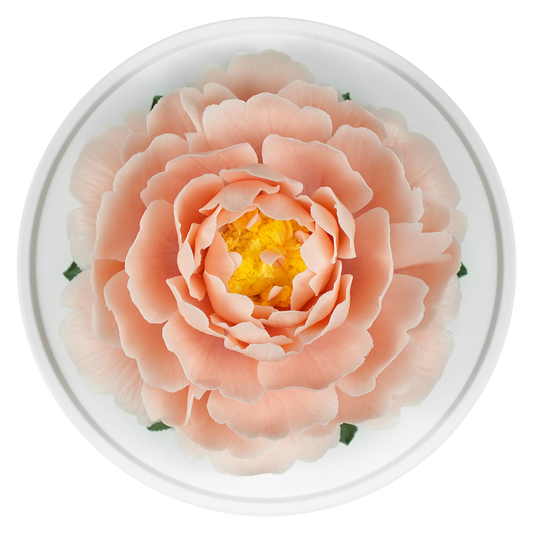 Luxury ceramic flower scent diffuser for home in peach pink, peony, displayed from above