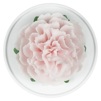 Luxury ceramic flower scent diffuser for home in pale pink, carnation, displayed from above