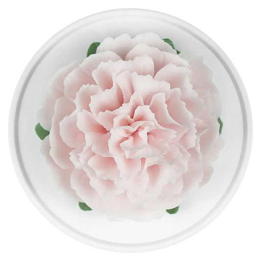 Luxury ceramic flower scent diffuser for home in pale pink, carnation, displayed from above