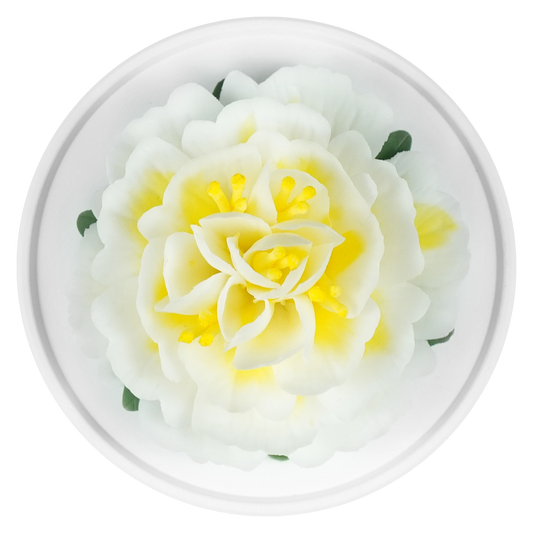 Luxury ceramic flower scent diffuser for home in wihte, dahlia, displayed from above