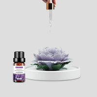 home scent essential oil for stress relief in lavender scent