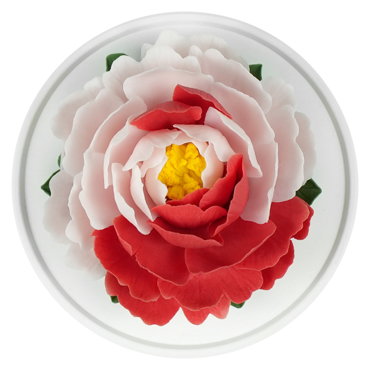 Luxury ceramic flower scent diffuser for home in pink and red, peony, displayed from above
