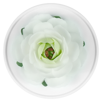 Luxury ceramic flower scent diffuser for home in white, camellia, displayed from above