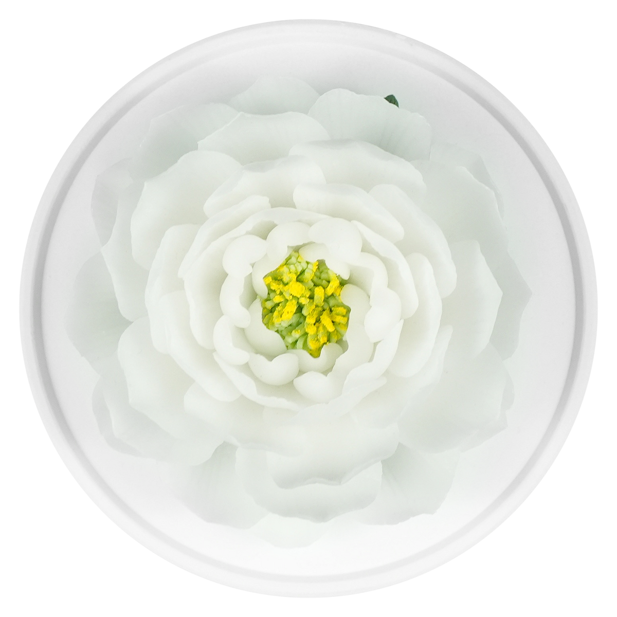Luxury ceramic flower scent diffuser for home in white, jasmine, displayed from above
