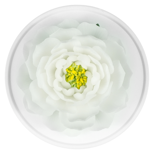 Luxury ceramic flower scent diffuser for home in white, jasmine, displayed from above