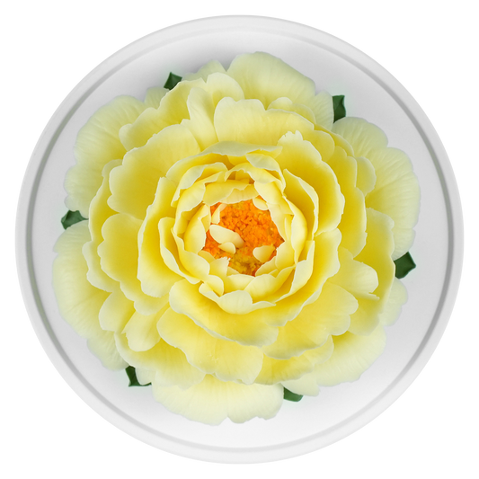 Luxury ceramic flower scent diffuser for home in pale yellow, peony, displayed from above